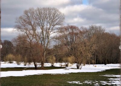 Приближение весны, февраль 2022 года (Jane / Shilshole)